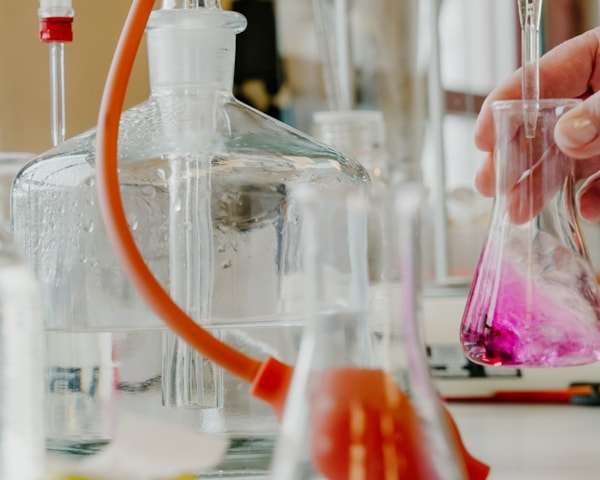 Nærbilde reagensrør med ulikt innhold i fargene rosa og gult.